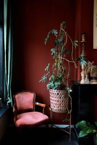 a red room with a plant in a pot and a chair at Stadslogement Valentijn in Sneek