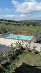 a swimming pool with potted plants in front of it at Agriturismo Borgo Stella in Montespertoli