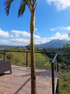 a palm tree on a patio with a view at Pura Vista Glamping in El Castillo de La Fortuna