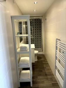 La salle de bains est pourvue d'un lavabo, d'un miroir et de toilettes. dans l'établissement Au Cabinet Childeric, à Tournai
