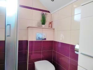 La salle de bains est pourvue de carrelage violet et blanc ainsi que de toilettes. dans l'établissement Zagreb, Apartman Jezz, à Zagreb