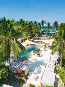 an aerial view of a pool at a resort at Palmarito Beach Hotel in Tierra Bomba