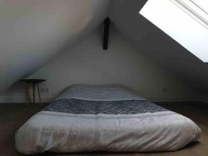 a bedroom with a bed in a attic at Gîte au bord du loing et proche forêt in Écuelles +2 photos