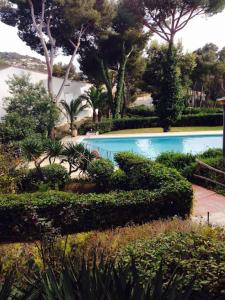 a large swimming pool with bushes and trees at Apartamentos Clipper Llafranc Costa Brava in Llafranc