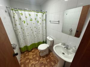 a bathroom with a toilet and a sink and a shower curtain at Alojamiento de casa Angol in Angol