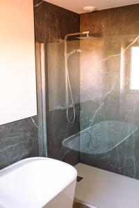 een badkamer met een douche, een toilet en een wastafel bij L'orée de la Forêt in Desvres