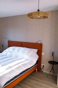 代夫勒的住宿－L'orée de la Forêt，一间卧室配有一张大床和光线