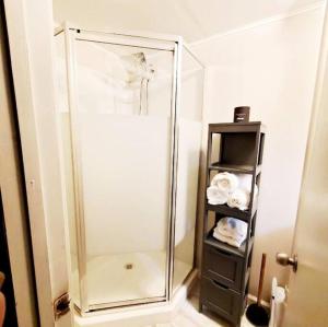 een douche met een glazen deur in de badkamer bij Irmo Cottage Oasis-Cozy Efficiency Apt in Irmo