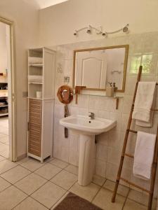 une salle de bain avec un lavabo et un miroir dans l'établissement gîtes THO KOBA, à Saint-Claude