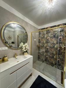 uma casa de banho com um chuveiro, um lavatório e um espelho. em Apartament Szarotki em Szczecin