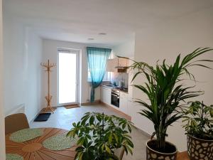 a kitchen with a table and some plants in a room at Gasthaus Tauchen with kitchen in Mönichkirchen