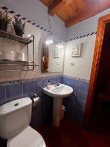 San Martín de la Vega del Albercheにあるla cabaña de gredosのバスルーム(トイレ、洗面台付)