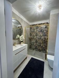 uma casa de banho com um chuveiro, um lavatório e um espelho. em Apartament Szarotki em Szczecin