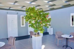 un albero in una stanza con tavoli e sedie di Piraeus Relax a Pireo