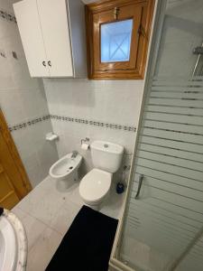ein Bad mit einem WC, einem Waschbecken und einer Dusche in der Unterkunft Apartament La Mata in Torrevieja