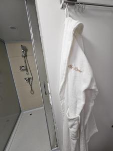 ein weißes Handtuch, das in einem Badezimmer an einem Handtuchhalter hängt in der Unterkunft SKY DOME in Vad + 28 Fotos