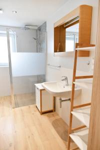 ein Bad mit einem Waschbecken und einer Dusche in der Unterkunft APARTMAN Tradicia in Michalovce