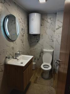 a bathroom with a toilet and a sink and a mirror at Villas Bašović in Šavnik +35 photos
