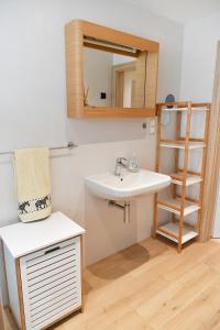 ein Bad mit einem Waschbecken und einem Spiegel in der Unterkunft APARTMAN Tradicia in Michalovce