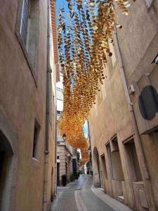 an alley with a bunch of lights hanging from buildings at Le Foch_Beziers Centre_wifi in Béziers