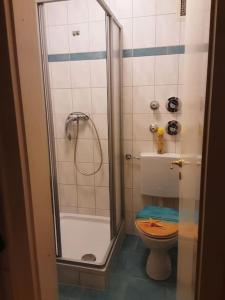 雷根斯堡的住宿－Alfred Second，带淋浴的浴室以及带木制座椅的卫生间。