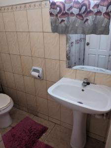 a bathroom with a sink and a toilet and a mirror at Bed and breakfast in Georgetown