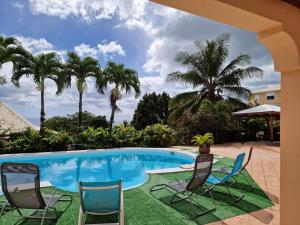 a swimming pool with chairs and palm trees at gîtes THO KOBA in Saint-Claude