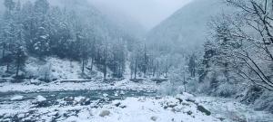 a snow covered river with trees and a mountain at MOKSHA COTTAGES AND WOODHOUSE in Kasol