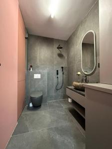 een badkamer met een toilet, een wastafel en een spiegel bij Oasului Residence in Cluj-Napoca