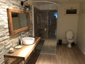 a bathroom with a sink and a shower at Maison de caractère proche centre ville et termes in Bourbonne-les-Bains
