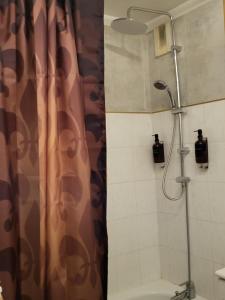 a shower in a bathroom with a shower curtain at IL & DG Immobilier in Saint-Denis