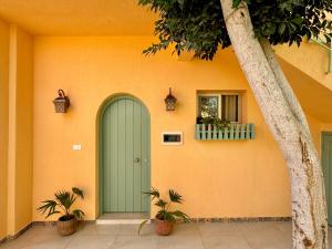 a green door on the side of a house with plants at Beit Reihana in Dahab