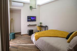 a bedroom with a bed and a tv on a wall at Lustru Apartment in Catania