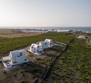 an aerial view of white buildings in a vineyard at MelivOia house collection in Foinikiá