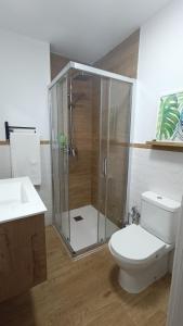 a bathroom with a shower and a toilet and a sink at La casita de los mandalas in Cazorla