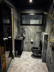 a bathroom with a black toilet and a sink at Levin Huvilompolo in Kittilä