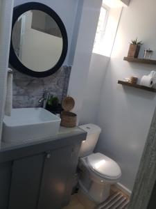 a bathroom with a sink and a toilet and a mirror at Jean Olive in Castries