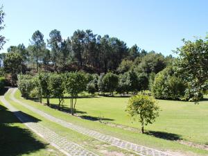 uma linha de árvores num campo verde em Excellent Cottage in Santa Comba with Communal Pool em Ponte de Lima