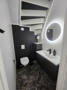 a bathroom with a sink and a toilet and a mirror at Levin Huvilompolo in Kittilä