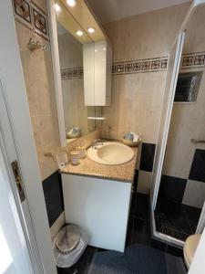 ein Bad mit einem Waschbecken und einem Spiegel in der Unterkunft MontNoir Appartement in Mavrovouni