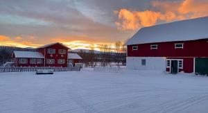 a red barn in a snow covered field with a building at Harekroken in Tynset