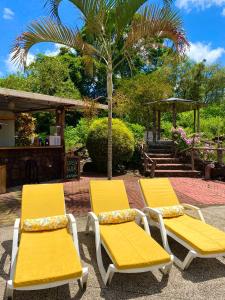 dos sillas amarillas sentadas al lado de una pareja en Hotel Galapagos Tortuga Bay en Puerto Ayora