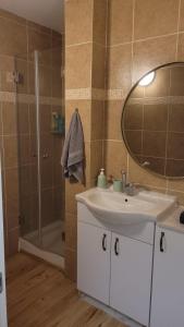 een badkamer met een wastafel en een douche met een spiegel bij Kasa lia in Herzelia 