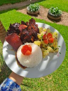 a plate of food with rice and meat and vegetables at La Ramada de Mama Elena in Oxapampa +76 photos