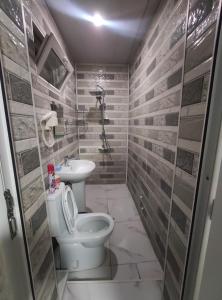 a bathroom with a toilet and a sink at Ortachala Summer House in Tbilisi City