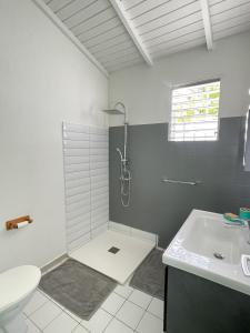 y baño con ducha y lavamanos. en Résidence Subtropicale en Saint-François