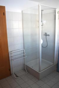 una doccia con porta in vetro in bagno di Appartement Isolde a Dornbirn