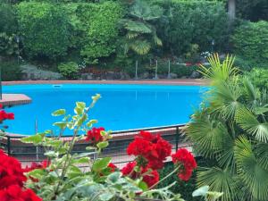 una piscina in un giardino con fiori rossi di Residence Villa Alba a Gardone Riviera