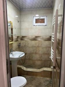 a bathroom with a sink and a toilet at Sunny in Mestia