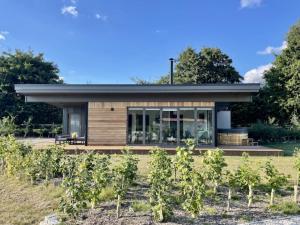 a house in the middle of a vineyard at "Brett" Scandinavian Lodge with private hot tub in East Bergholt